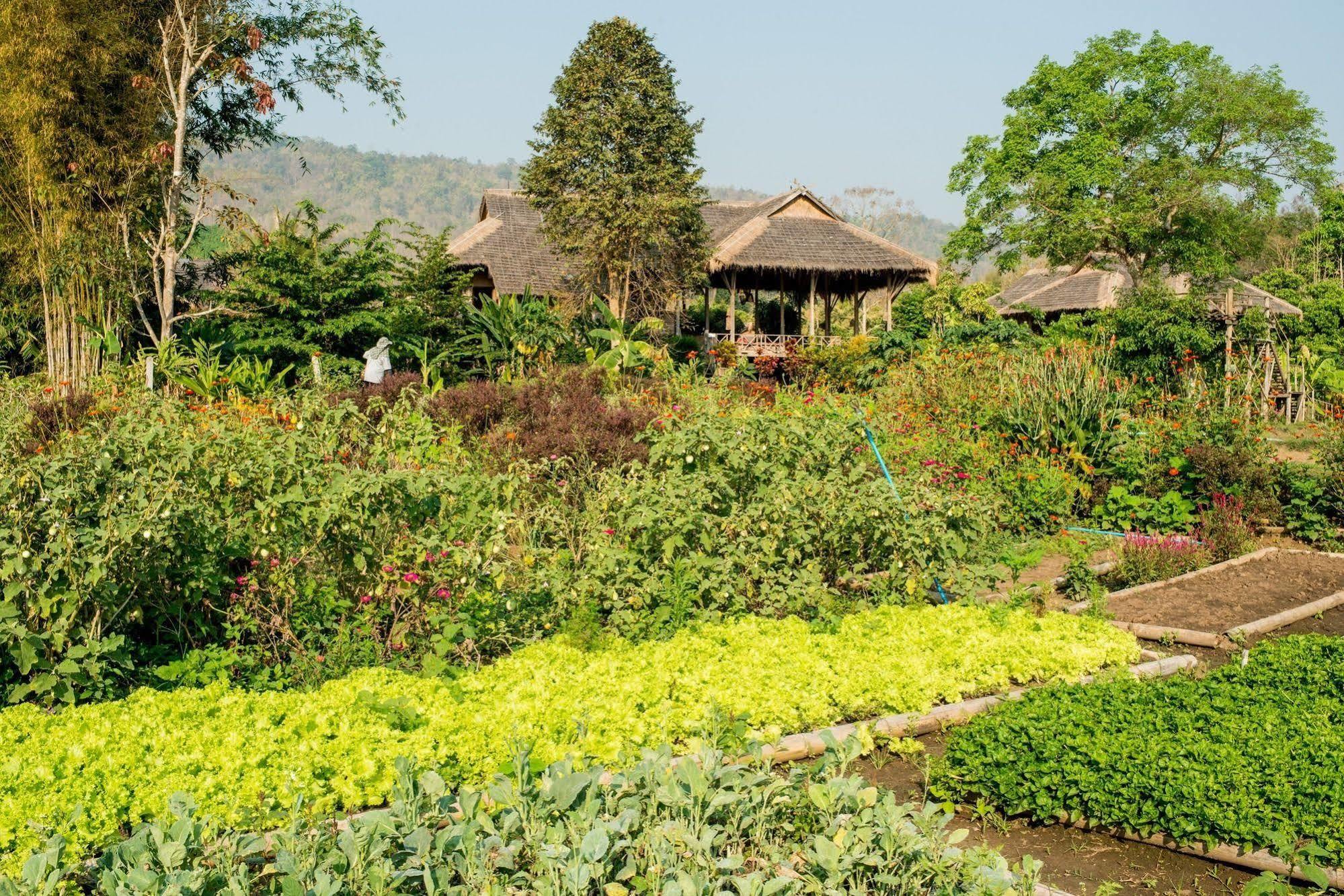 Lisu Lodge Chiang Mai Buitenkant foto